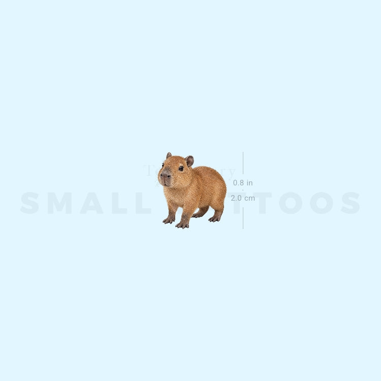 Capybara Temporary Tattoo (Set of 3)