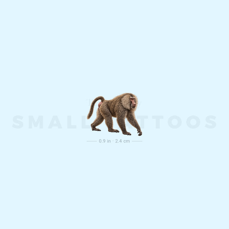 Baboon Temporary Tattoo (Set of 3)
