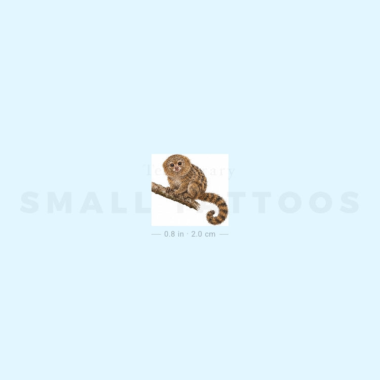 Pygmy Marmoset Temporary Tattoo (Set of 3)