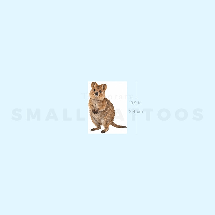 Quokka Temporary Tattoo (Set of 3)