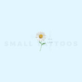 Small Daisy Temporary Tattoo (Set of 3)