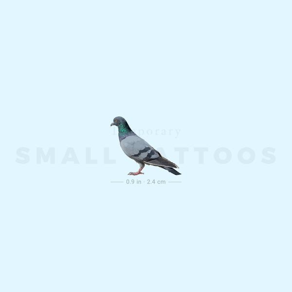 Rock Pigeon Temporary Tattoo (Set of 3)