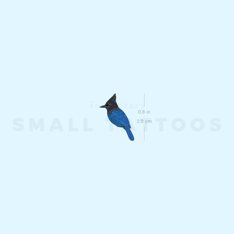 Little Steller's Jay Temporary Tattoo (Set of 3)