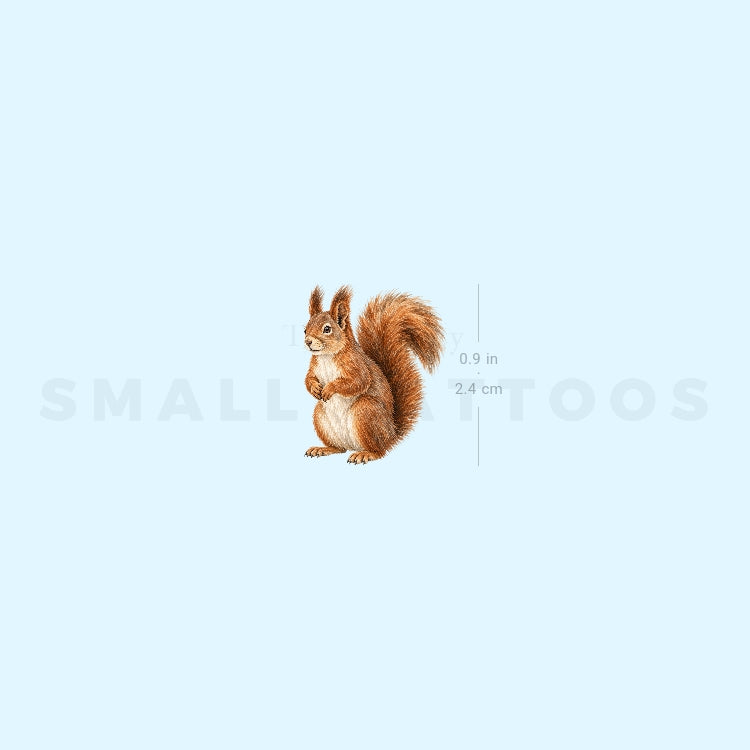 Watercolor Squirrel Temporary Tattoo (Set of 3)