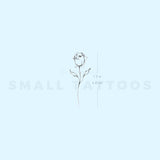 Rose By Stefano Mazza Temporary Tattoo (Set of 3)