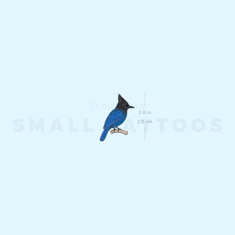 Steller's Jay Temporary Tattoo (Set of 3)