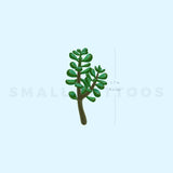 Jade Plant Temporary Tattoo (Set of 3)