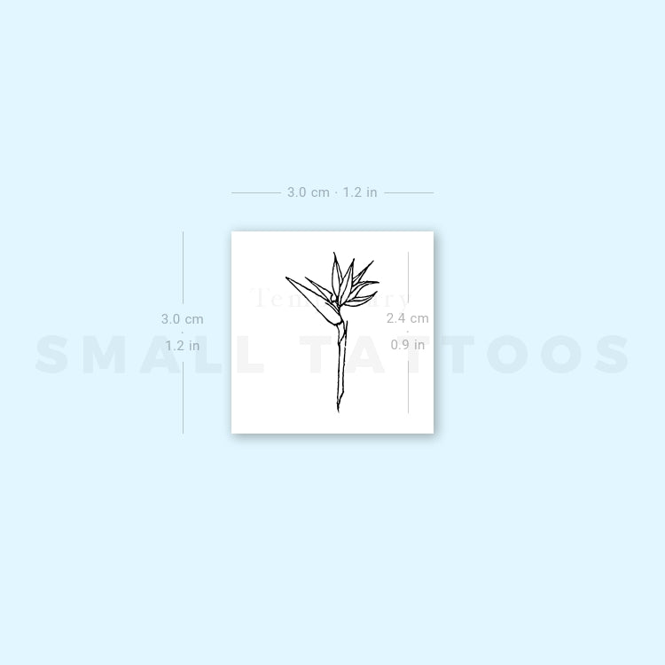 Strelitzia Bird Of Paradise Temporary Tattoo (Set of 3)