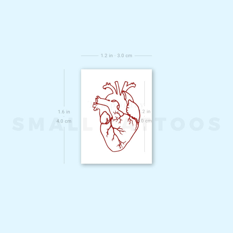 Red Ink Anatomical Heart Outline Temporary Tattoo (Set of 3)