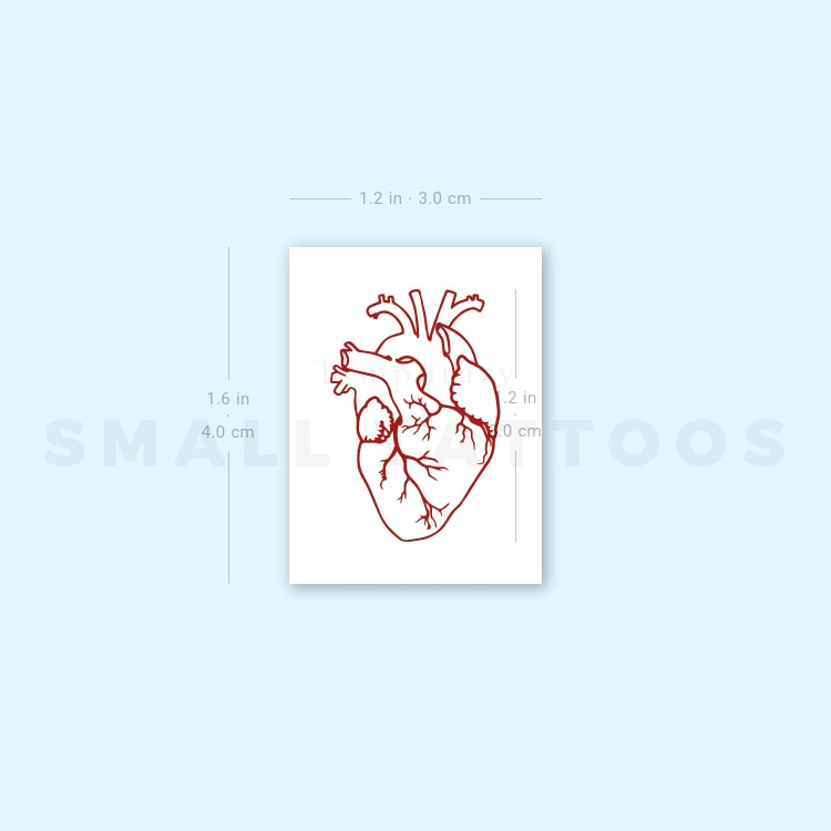 Red Anatomical Heart Temporary Tattoo (Set of 3)