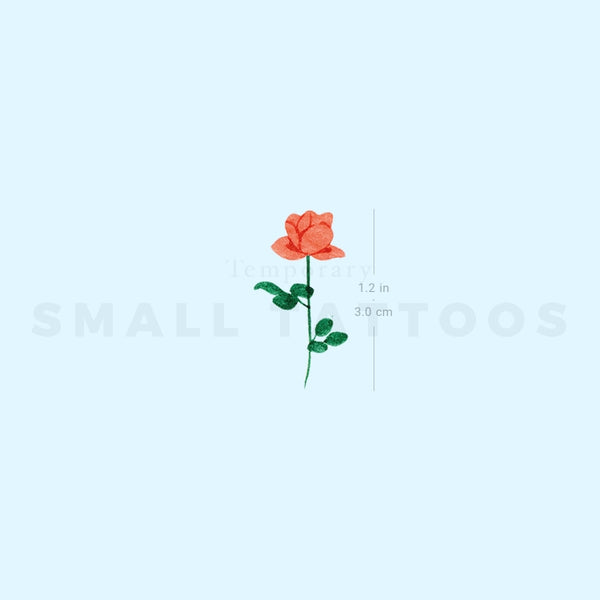 Small Orange Rose Temporary Tattoo by Zihee (Set of 3)