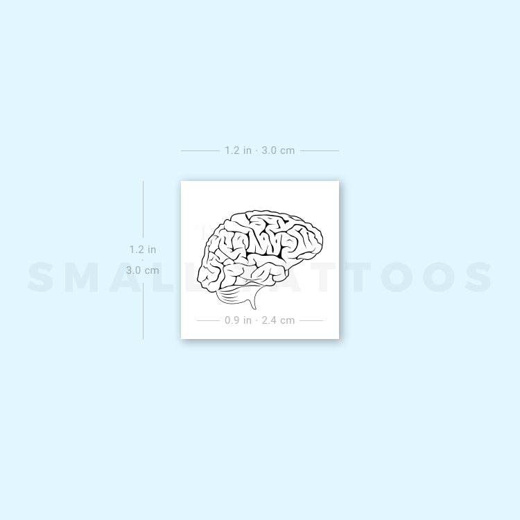 Tatuaje temporal de cerebro (juego de 3)