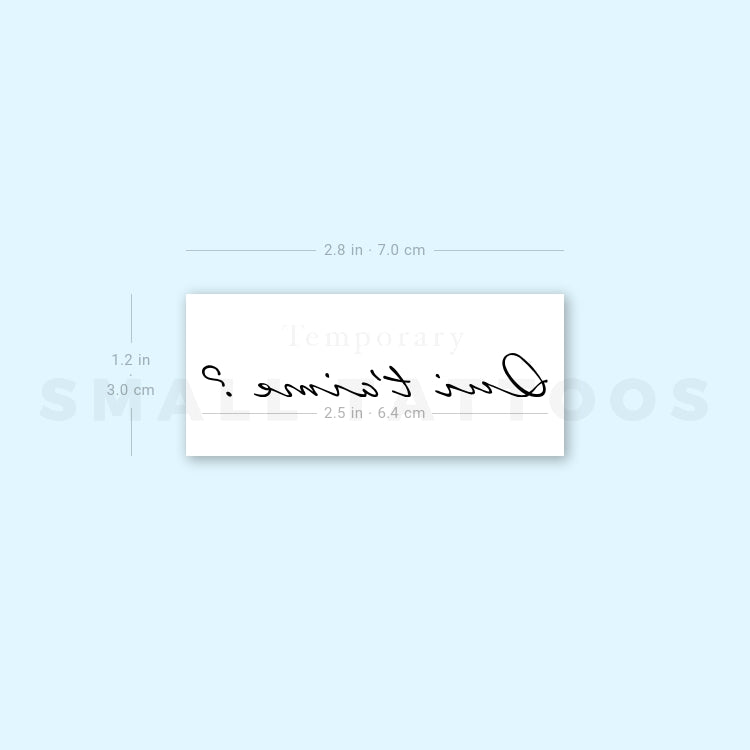 Qui t'aime? Temporary Tattoo (Set of 3)