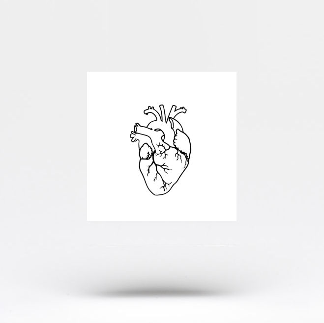 Anatomical Heart Outline Temporary Tattoo (Set of 3)