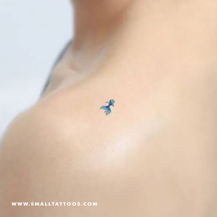 Tatuaje temporal de pez betta azul de Zihee (juego de 3)