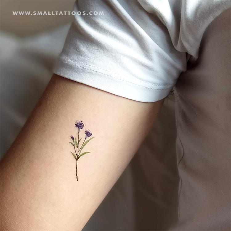 Tatuaje temporal de aciano de Zihee (juego de 3)