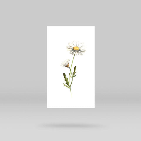 Daisy Temporary Tattoo By Lena Fedchenko (Set of 3)