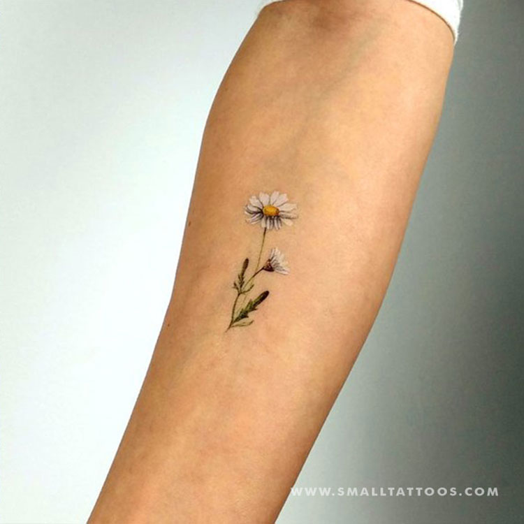 Daisy flower coloring pages, daisy flower bouquet tattoo, small daisy tattoo,  elegant minimalist daisy tattoo - MasterBundles