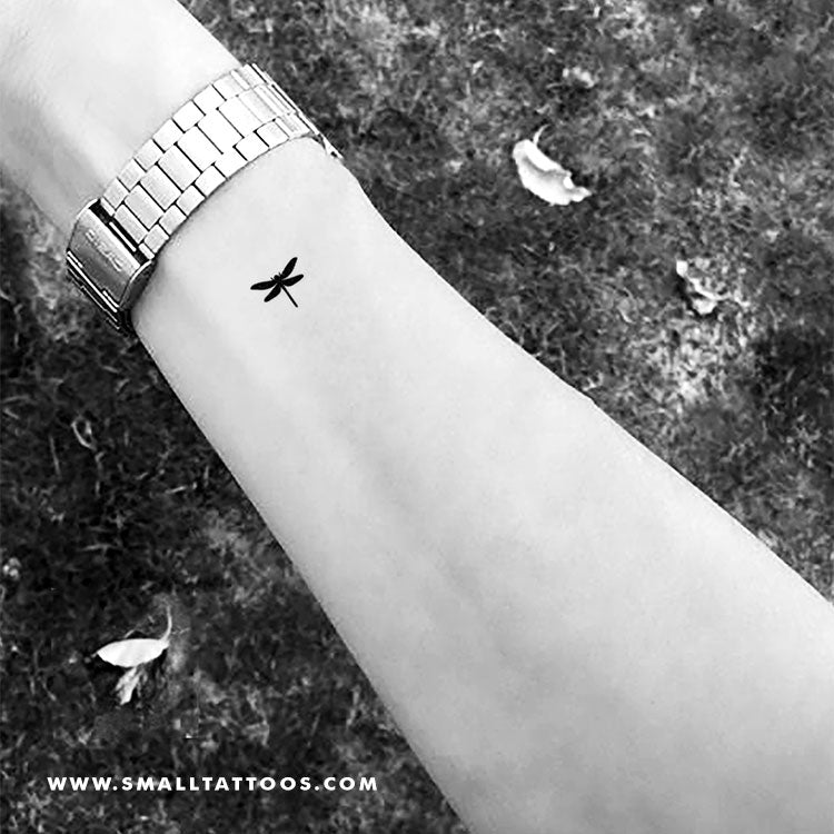 Tatuaje temporal de libélula pequeña (juego de 3)