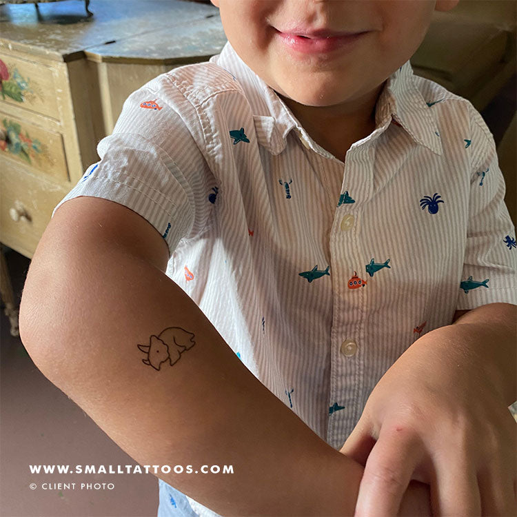 Tatuaje temporal de dinosaurio Triceratops (juego de 3)