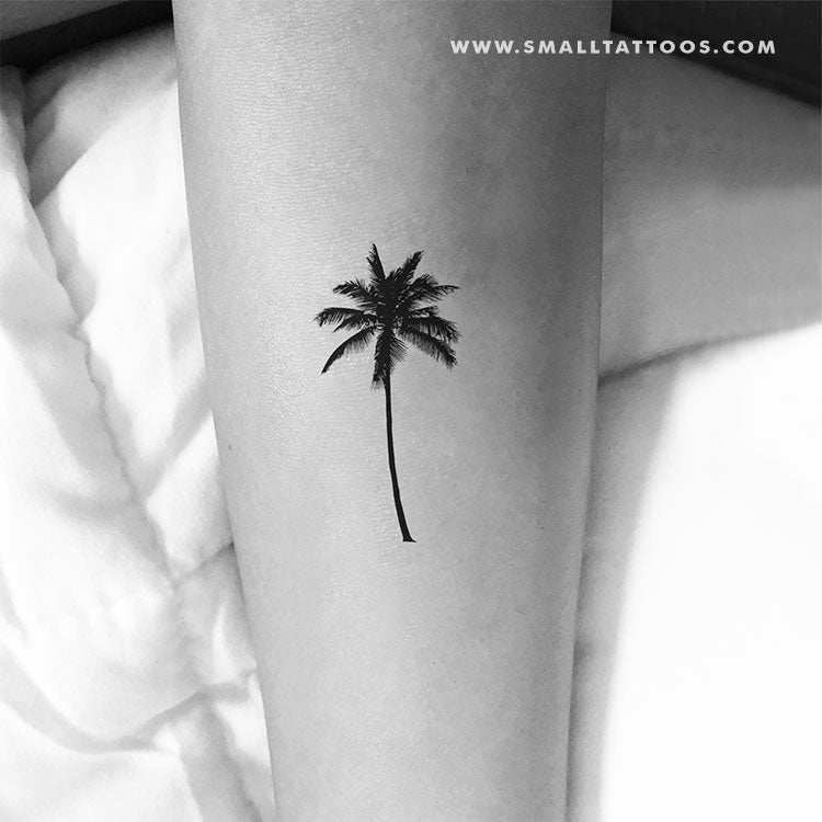 Tatuaje temporal de palmera (juego de 3)