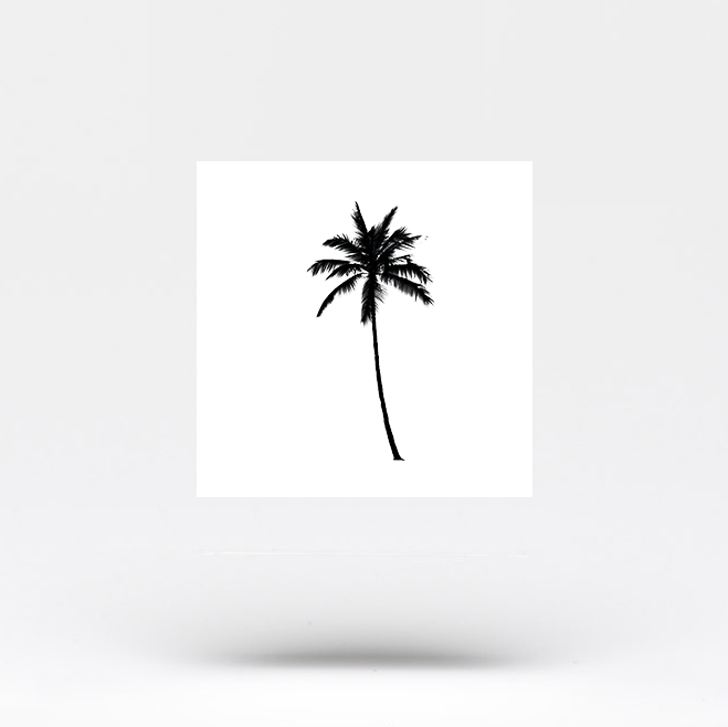 Palm tree 🌴 #palmtreetattoo #palmtree #trad #traditional  #traditionaltattoo #rvatattoos #rvatattoo #richmond #richmondva #rva… |  Instagram