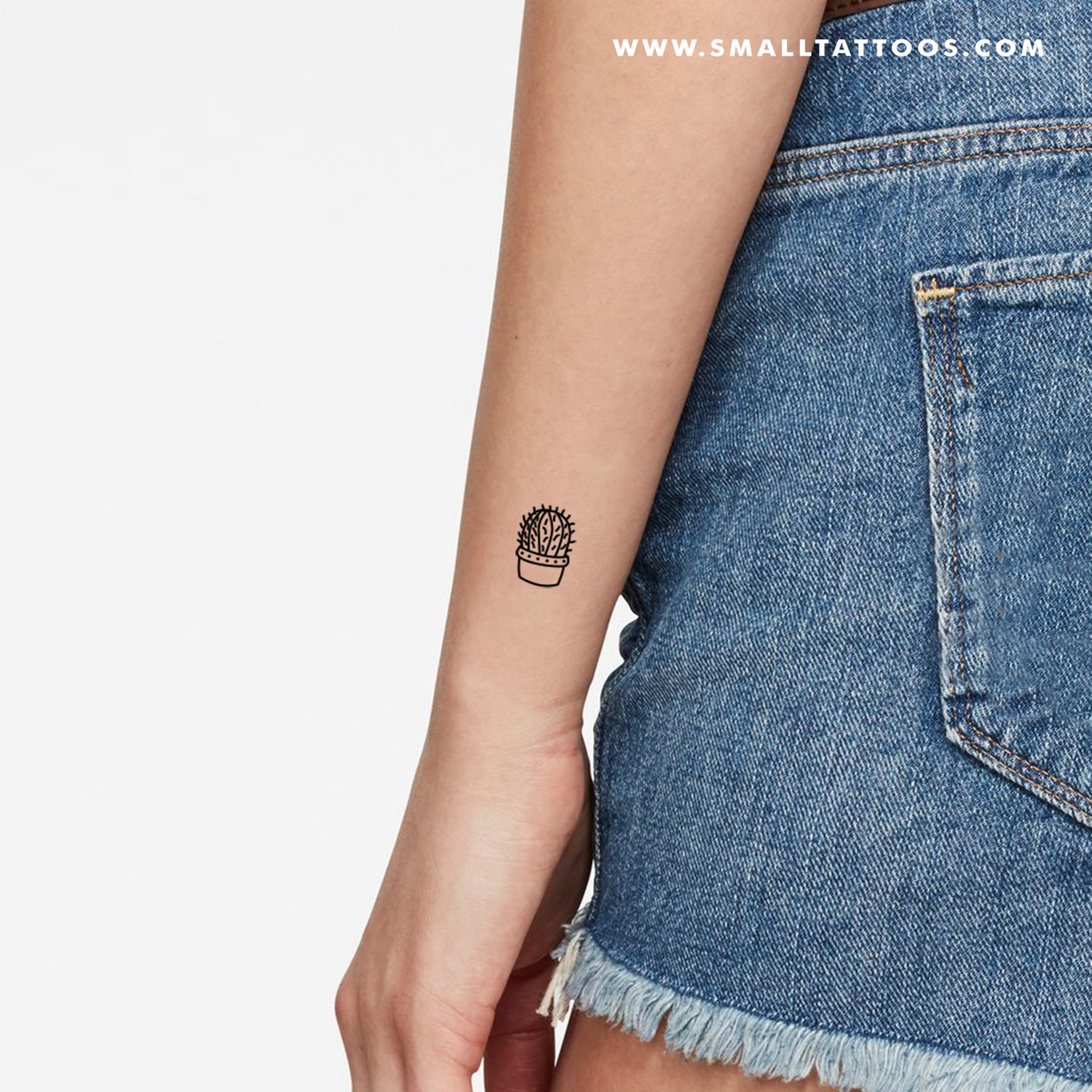Barrel Cactus Temporary Tattoo (Set of 3)