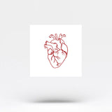 Small Red Anatomical Heart Temporary Tattoo (Set of 3)