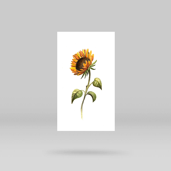 Sunflower Temporary Tattoo By Lena Fedchenko (Set of 3)