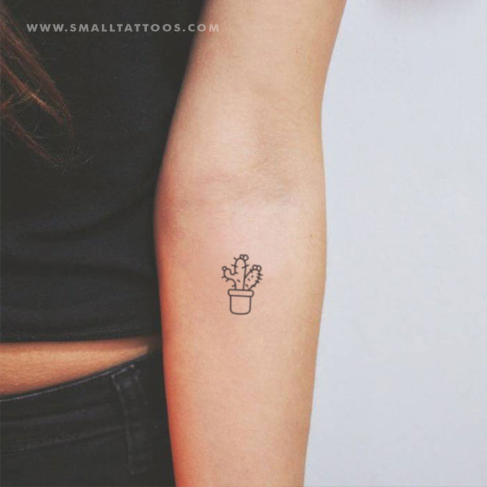 tiny succulent tattoo Cactus Temporary Tattoo (Set of 3) – Small Tattoos