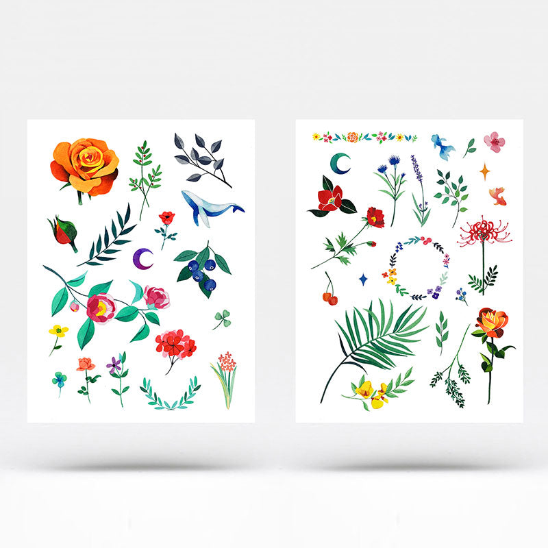 Colección Zihee Nature (juego de 40 x 2)
