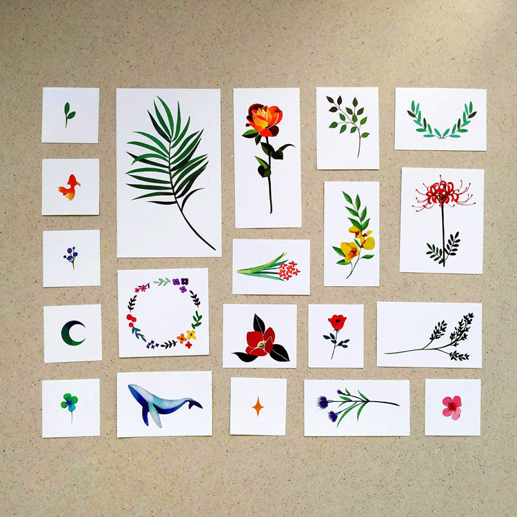 Zihee Nature Set Nº2 (Set de 20x2)